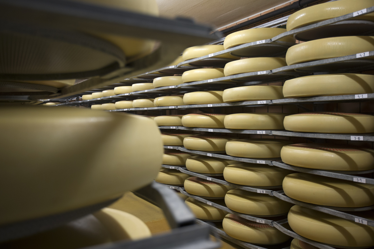 Käse in einer Käserei