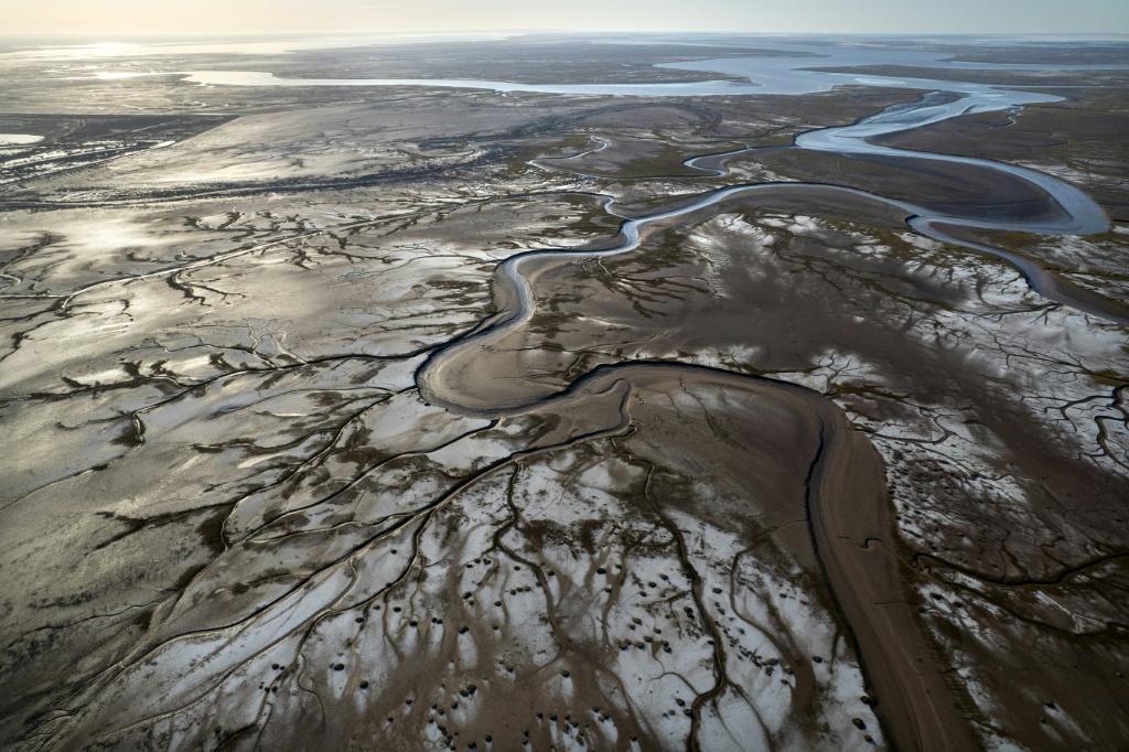 El Rio Delta El delta del río Colorado en México vuelve lentamente a la vida - SWI ...