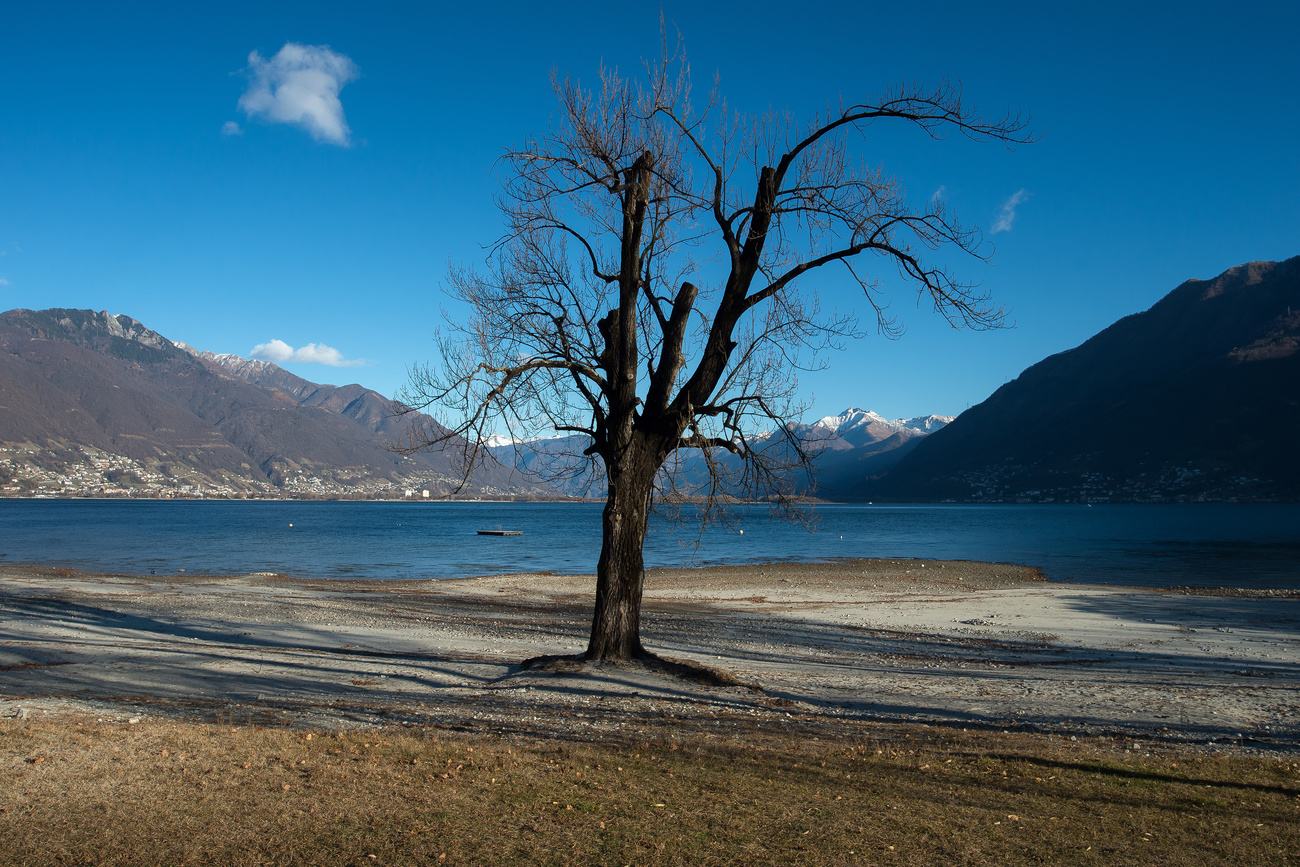 Lago Maggiore
