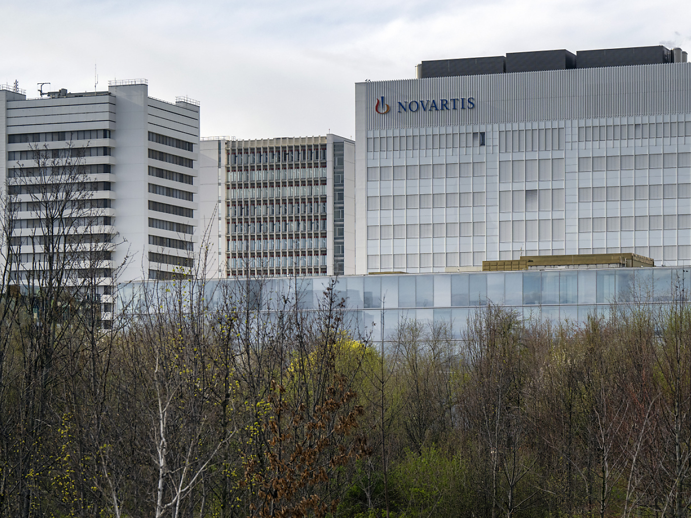 sede novartis