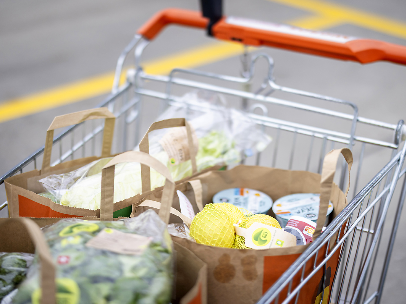 carrello con sacchetti migros contenenti prodotti