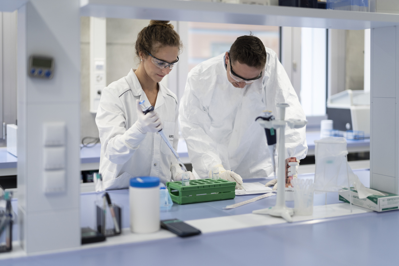 Dois pesquisadores em um laboratório