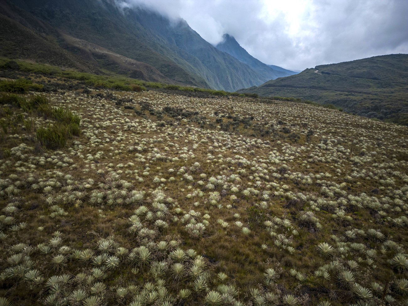 Paysage d'Amérique du Sud.