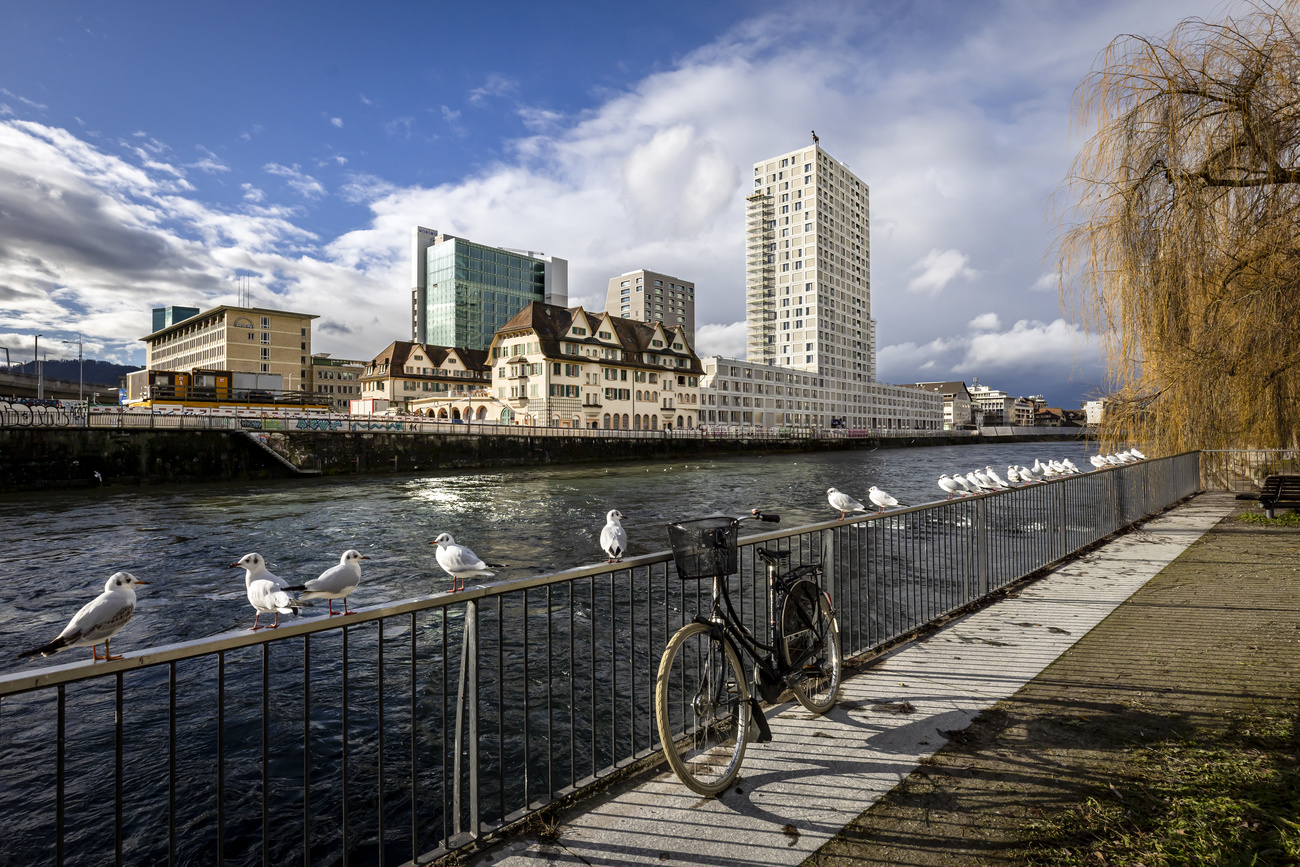 Highly sought-after: The urban development Tramdepot Hard (a white high-rise with low-rise buildings) is located directly on the Limmat River. Rents are significantly cheaper than on the open market.