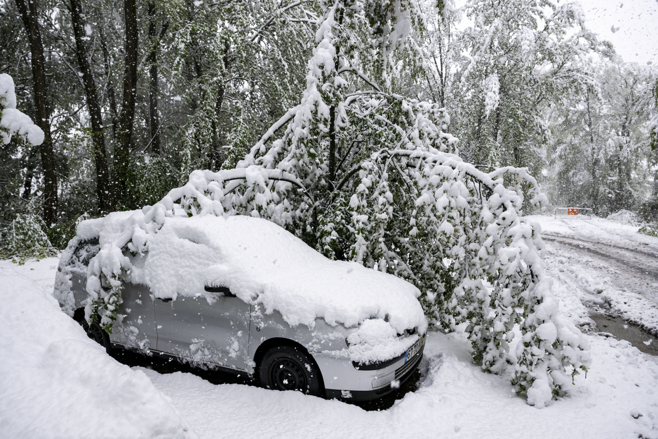 auto coperta di neve