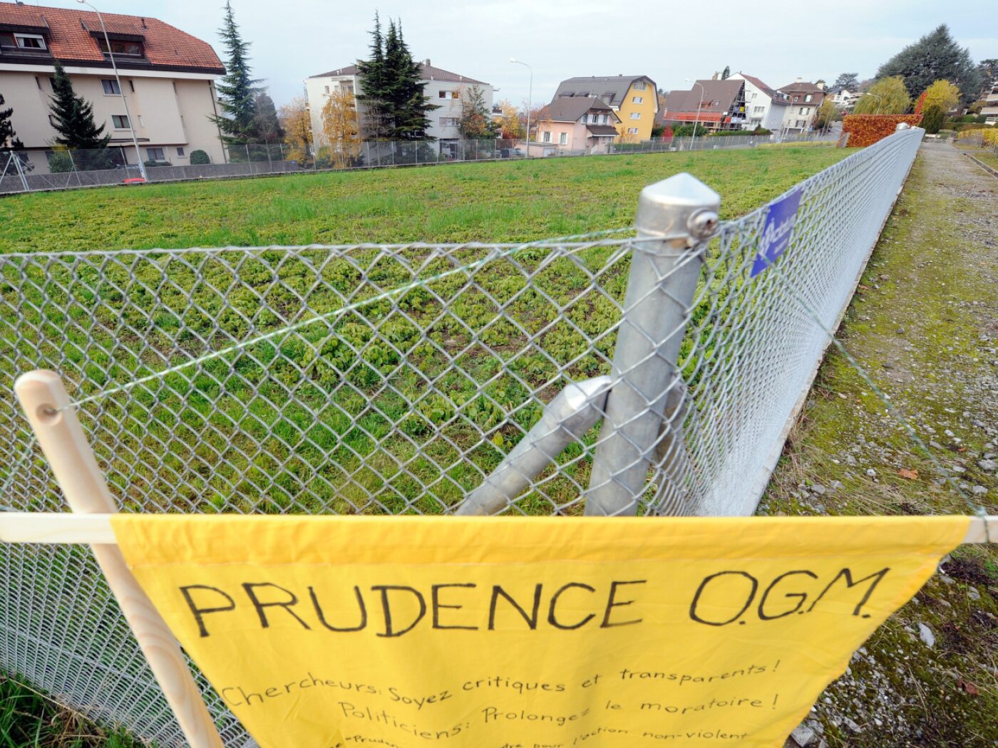 Special law for new genetic techniques in Switzerland