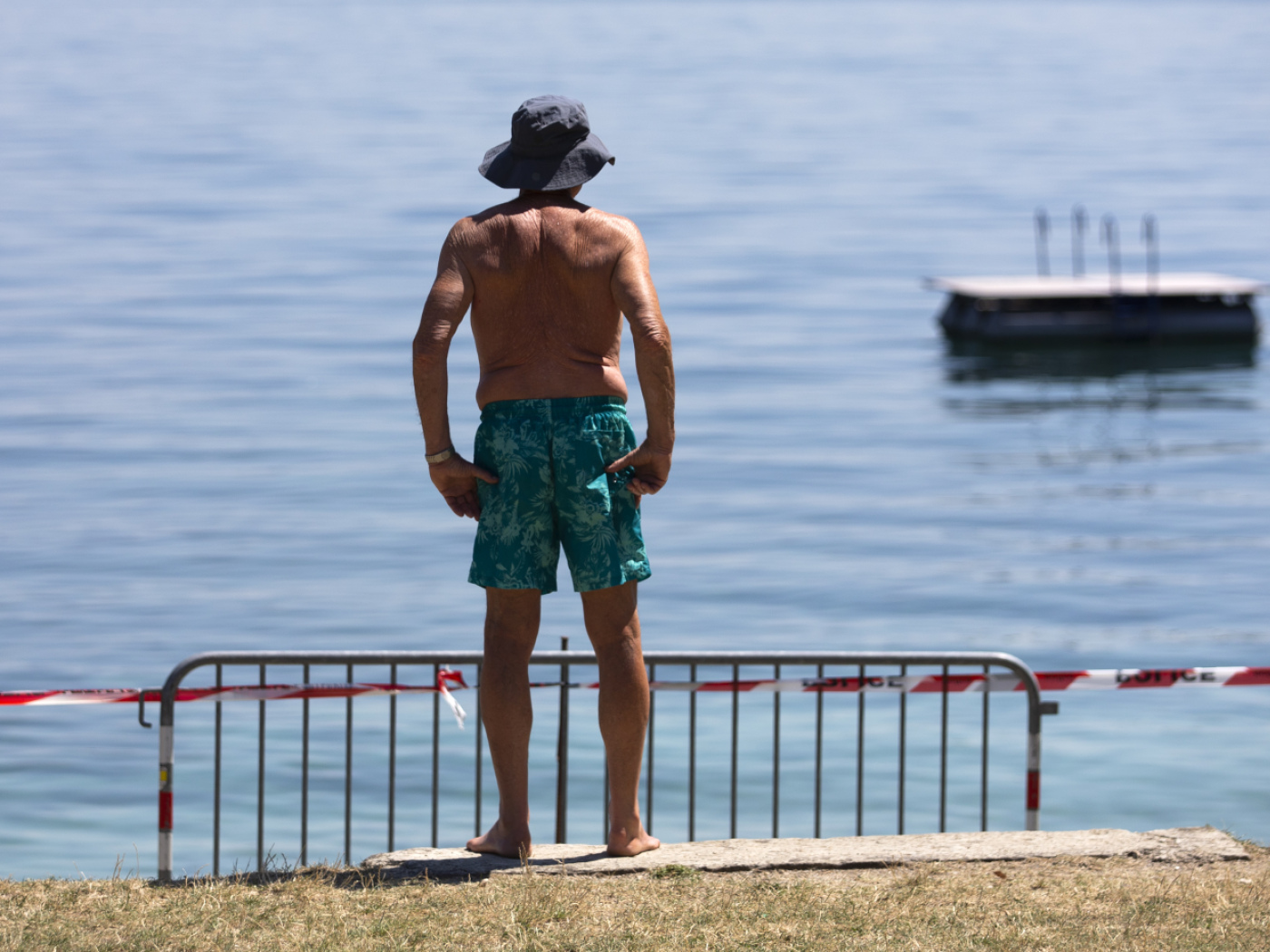 Every lake has its own blue-green algae cocktail
