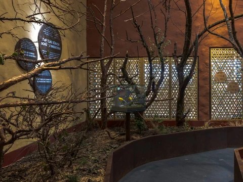 Zurich Zoo wants to gain experience with the new insect forest concept.