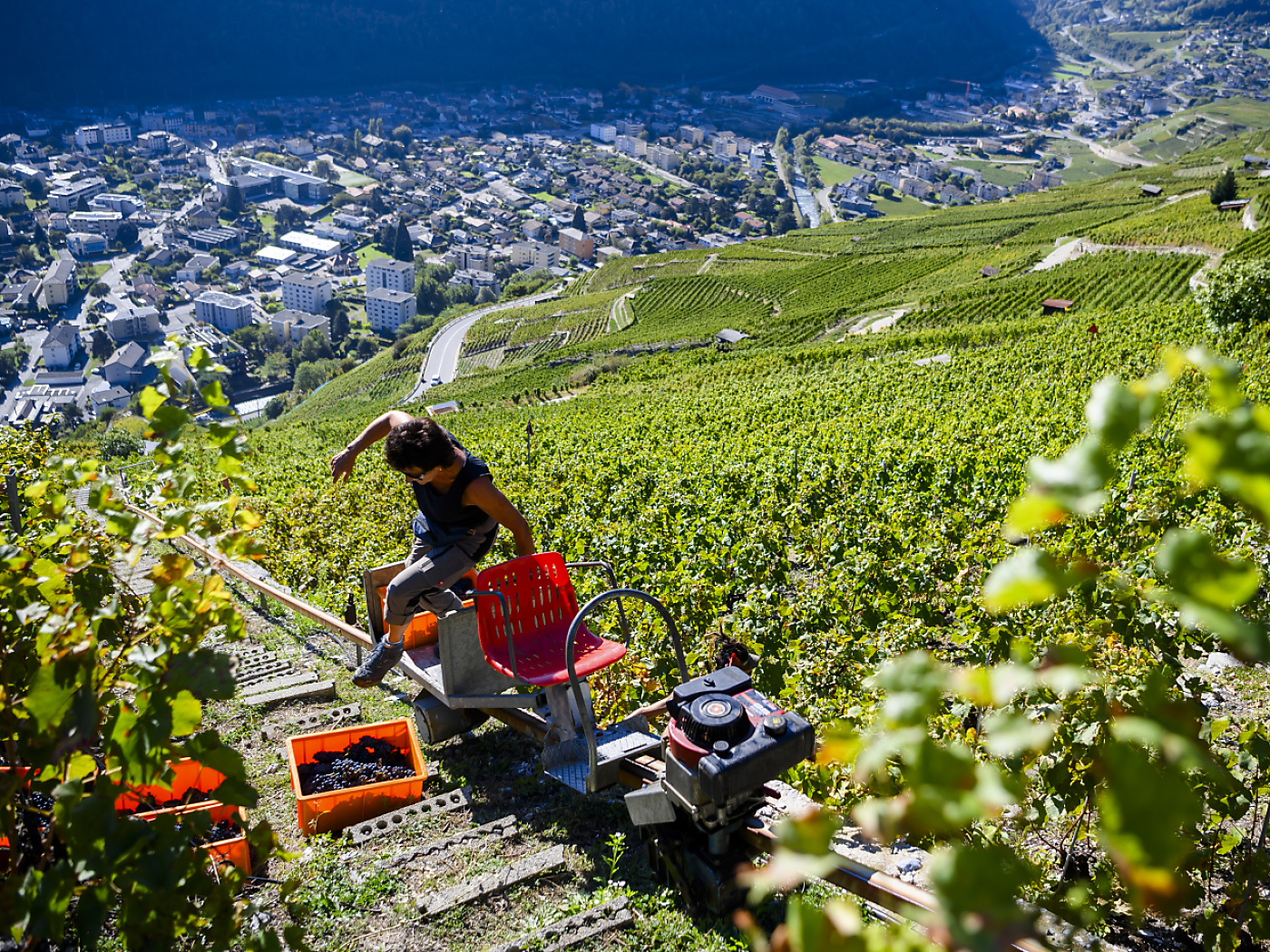 Valais holds its first general meeting on winegrowing