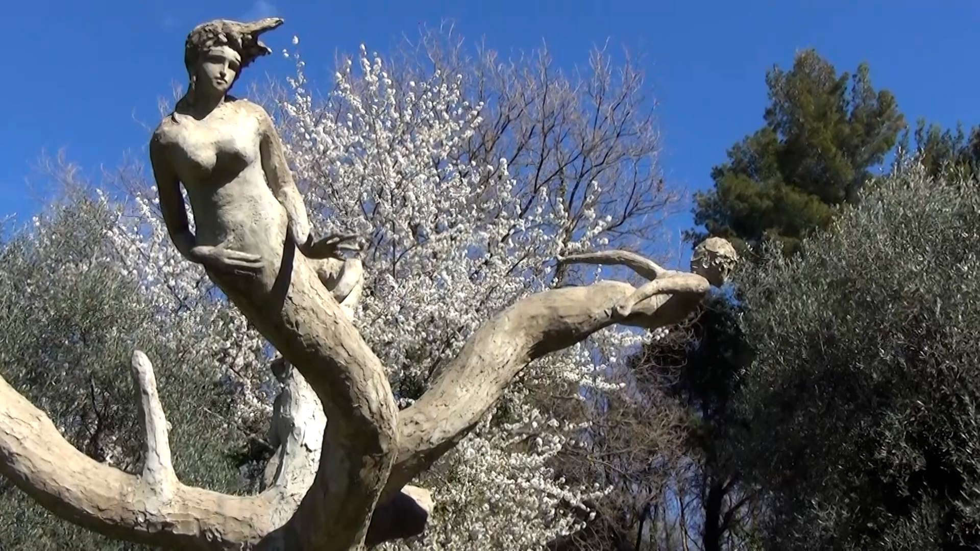scultura su un albero