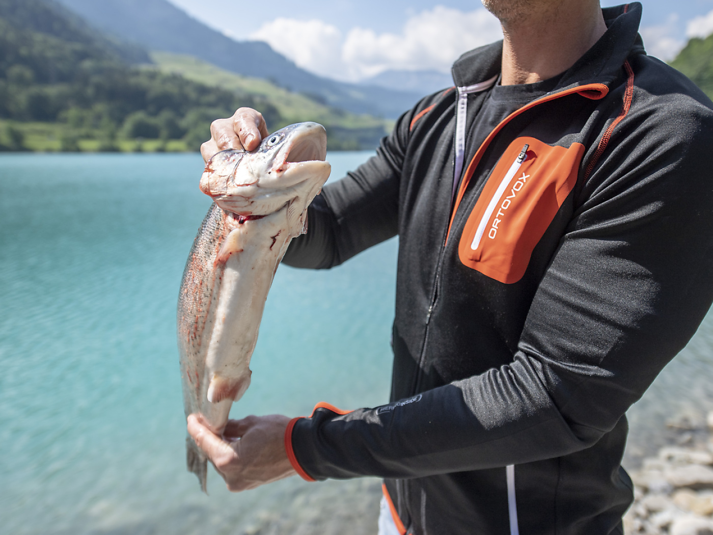 Trout and pike in lakes in western Switzerland with excessive PFAS levels