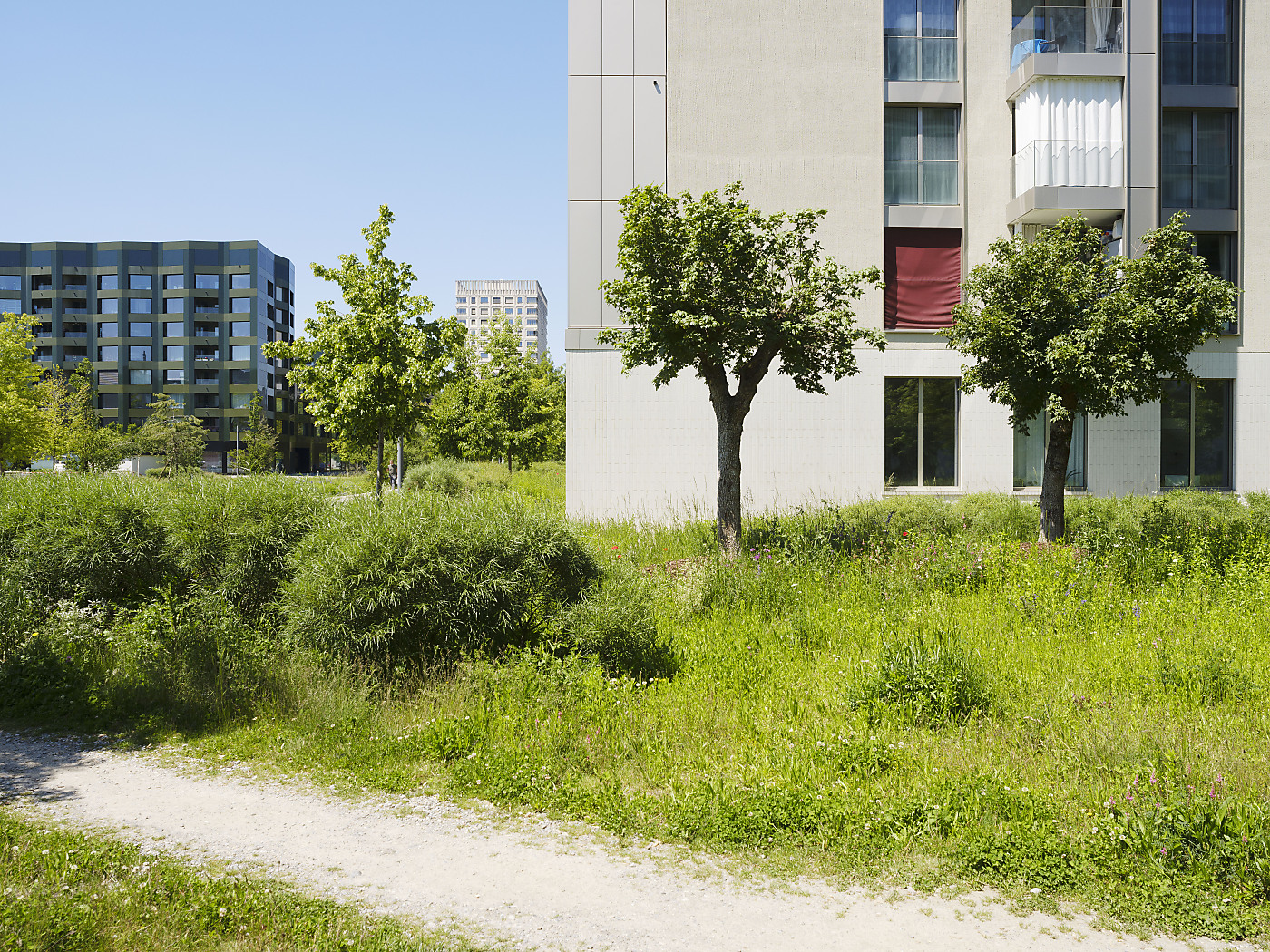 Natural sounds help combat city noise stress, according to Swiss study