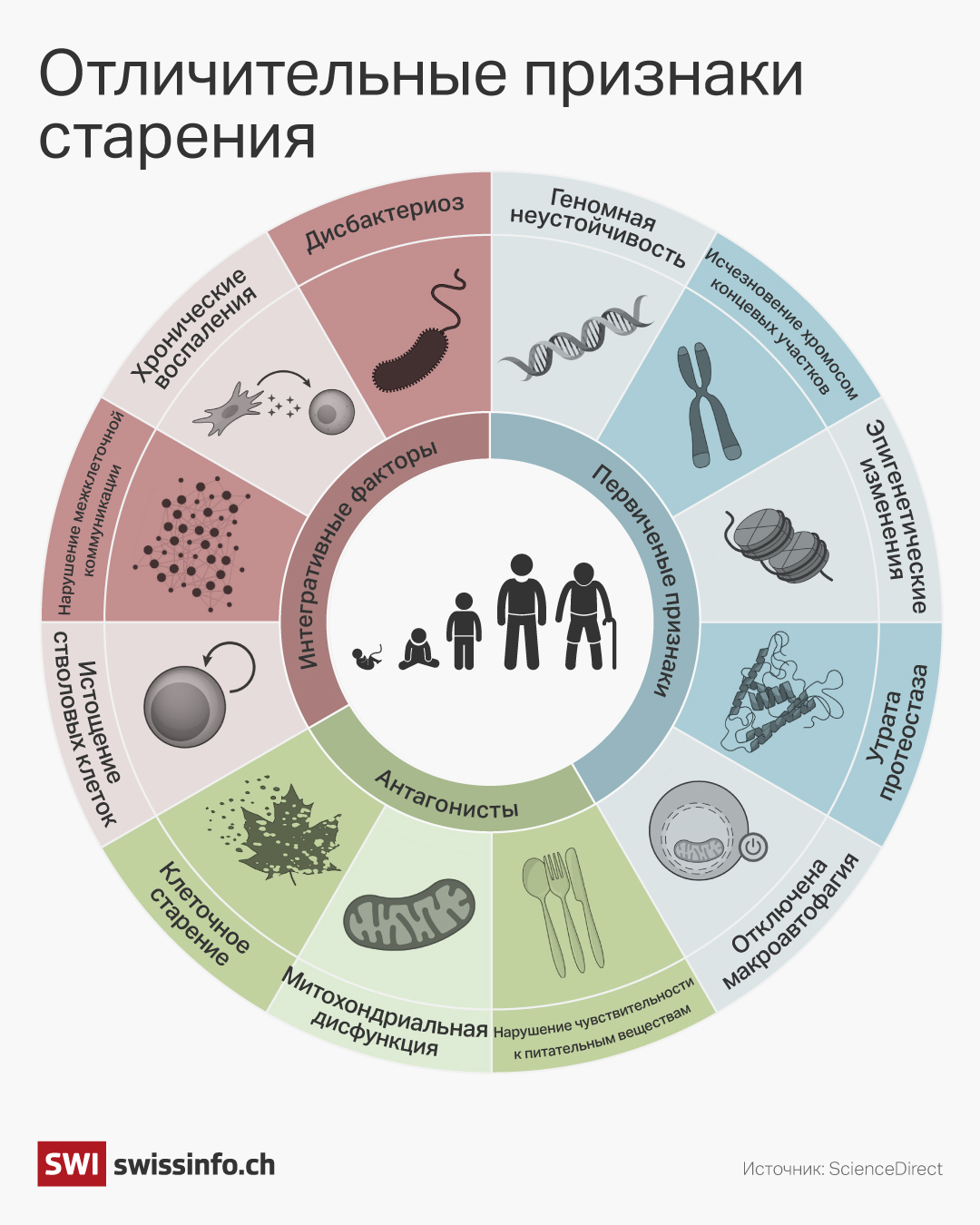 Признаки старения.