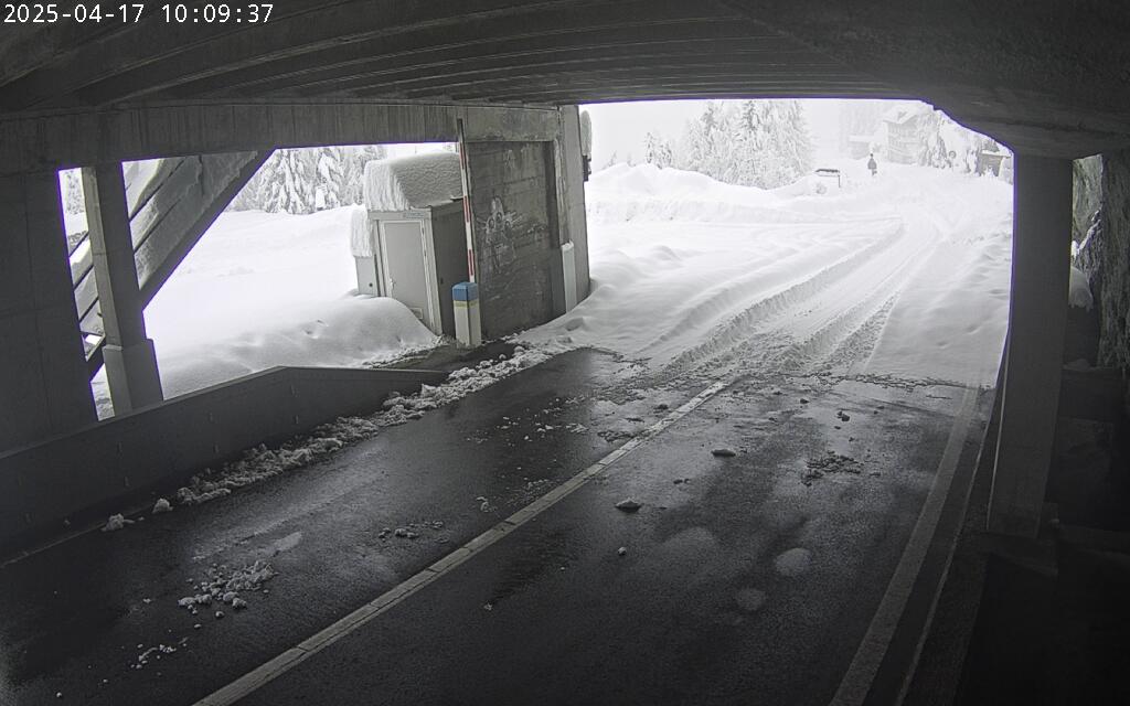 webcam tunnel gran san bernardo