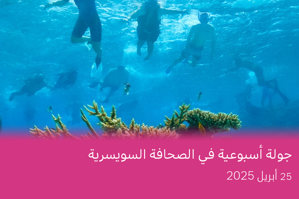 سياح يمارسون الغطس بين الشعاب المرجانية في البحر الأحمر قبالة سواحل الغردقة، مصر، 29 أكتوبر 2024.