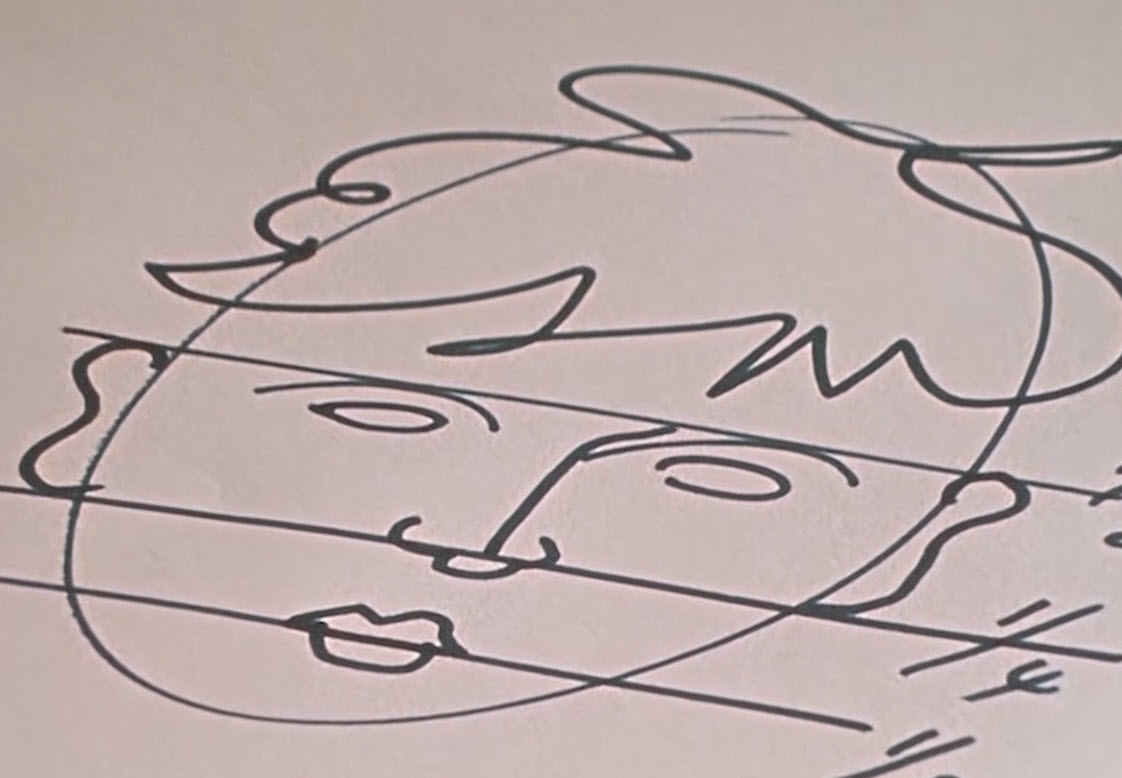 Una faccia disegnata