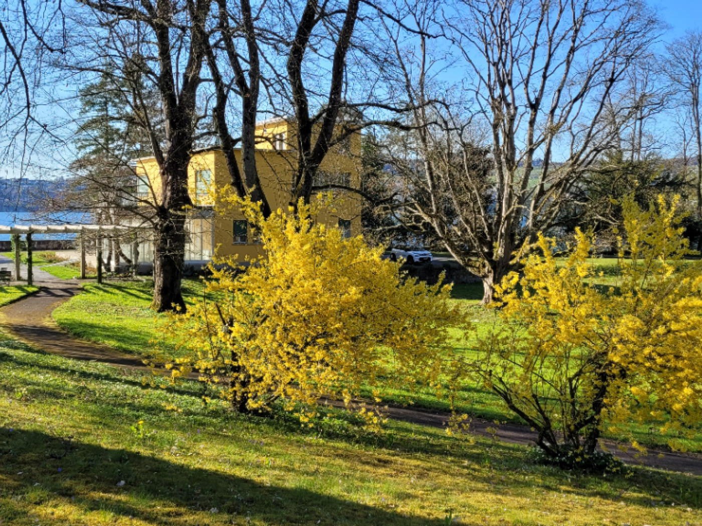 Park of Rachmaninoff villa in Hertenstein LU becomes accessible