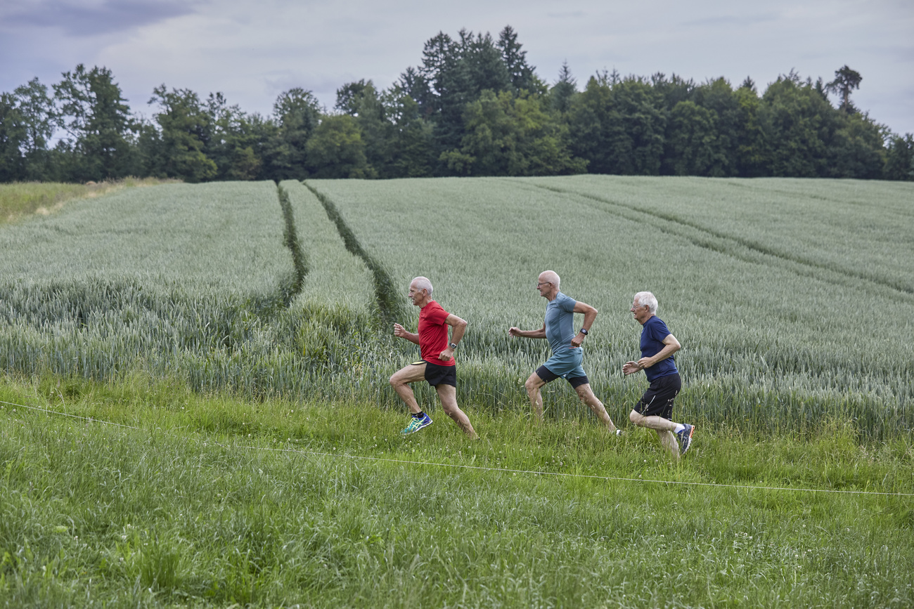 Runners