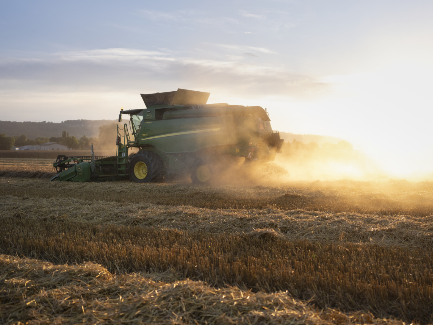 Organic farming stagnates in Switzerland