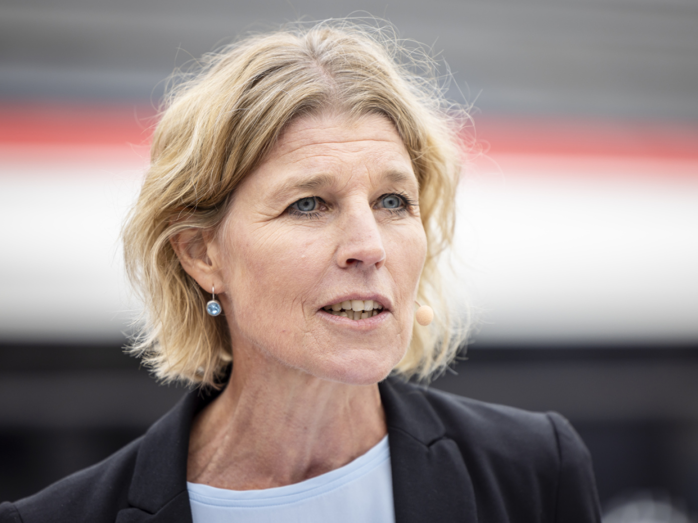 Dagmar Rösler呼吁就早期法语教学进行讨论。