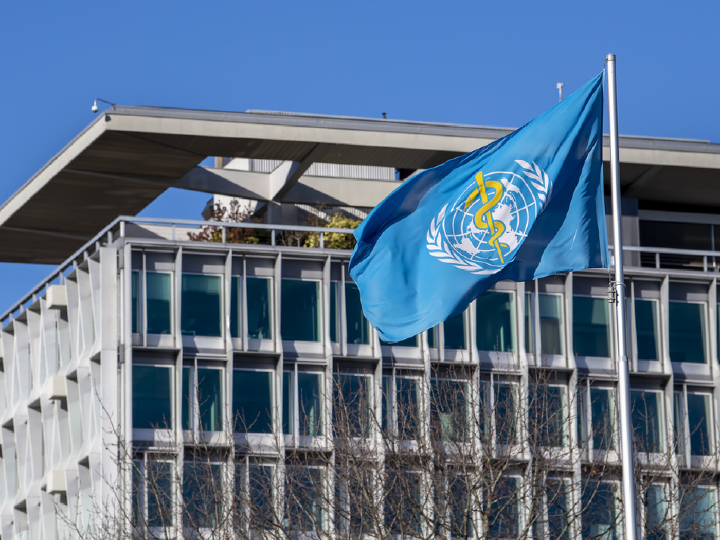 WHO members approve global climate plan