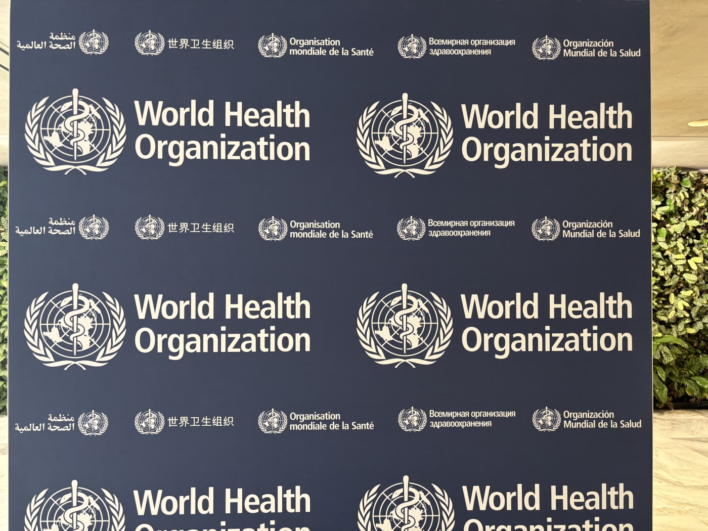 Financial crisis hits the WHO