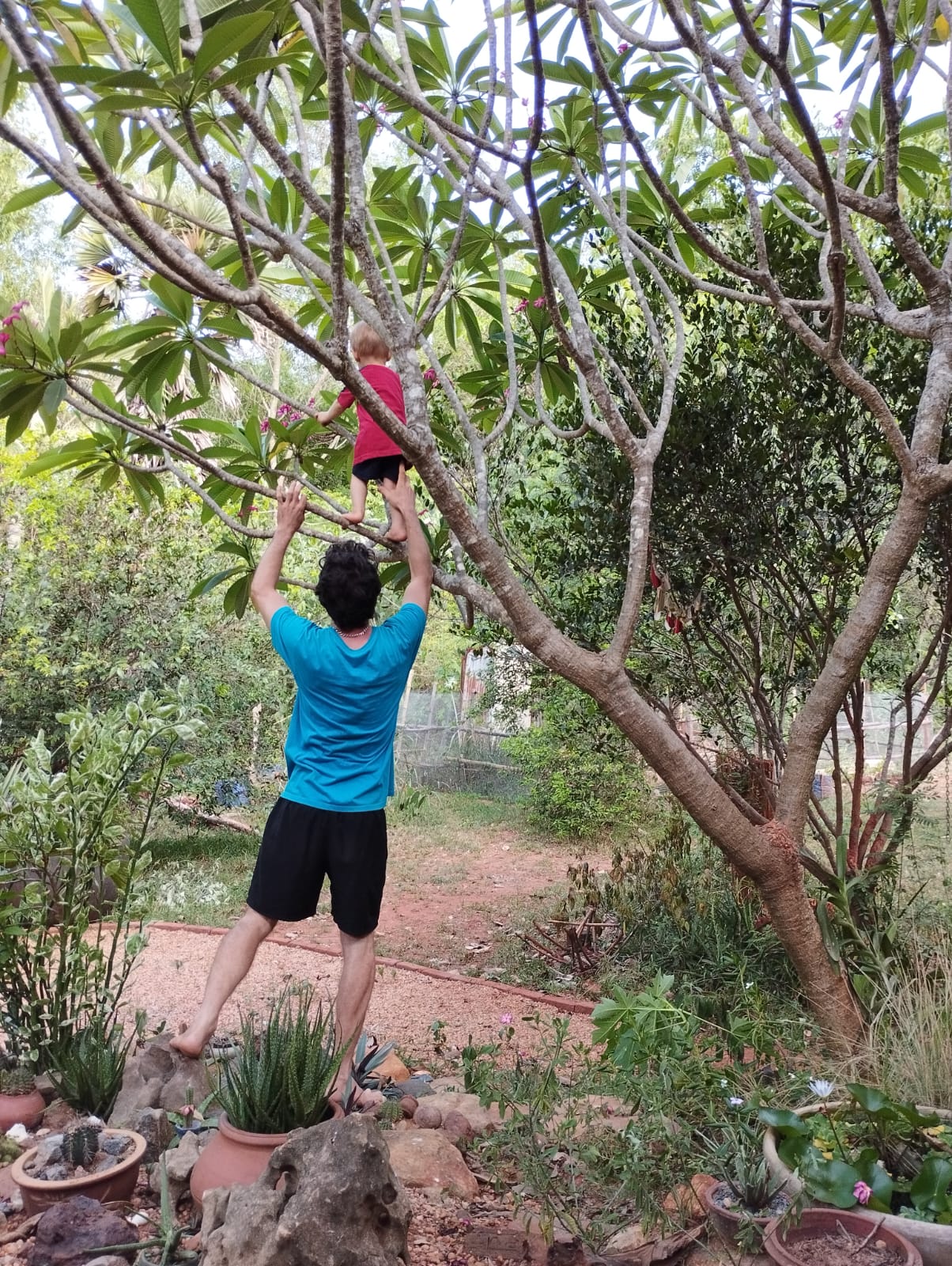 David Zbinden aidant son fils à grimper dans un arbre.