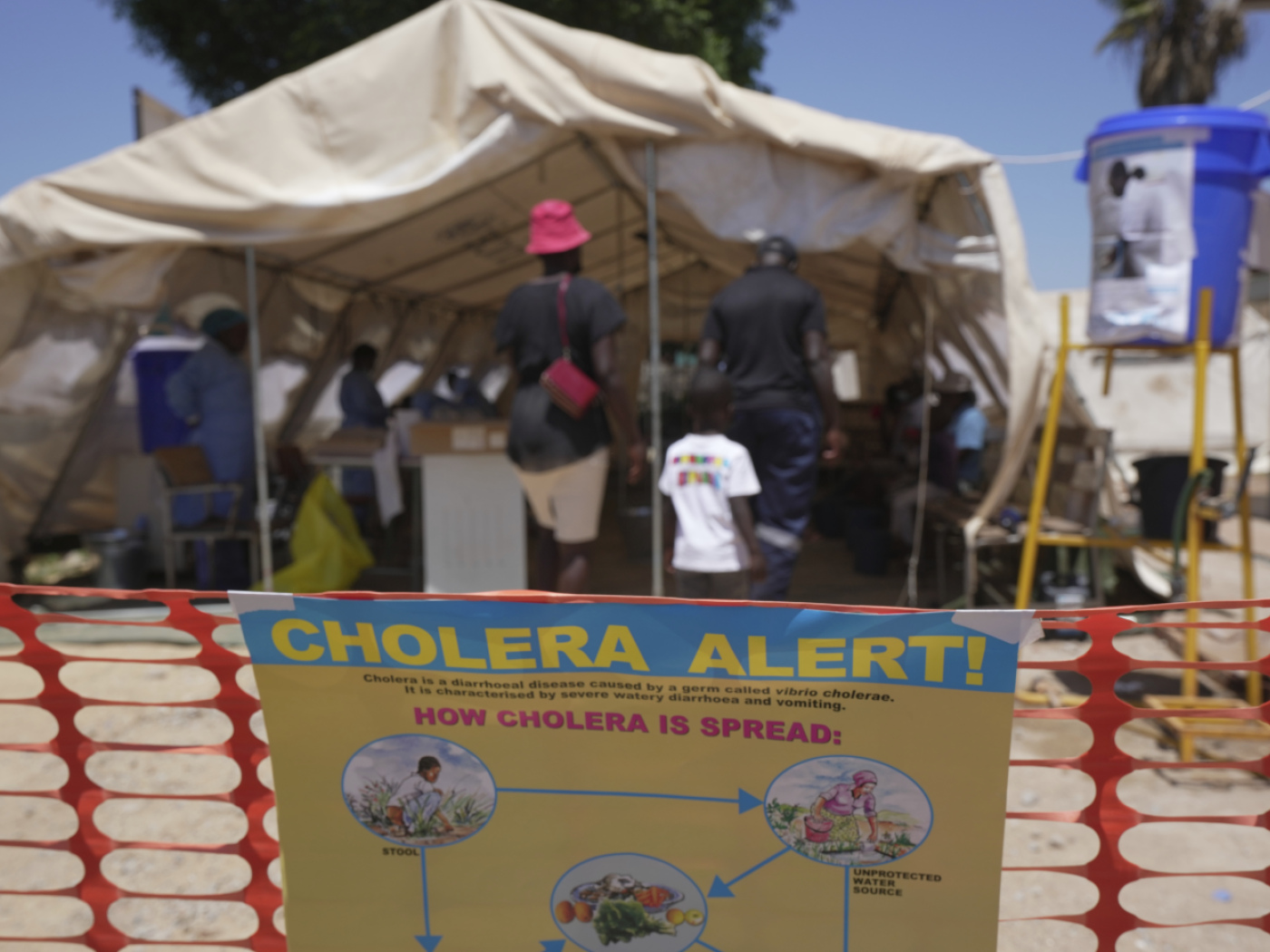 Swiss researchers decode defence trick of cholera strain