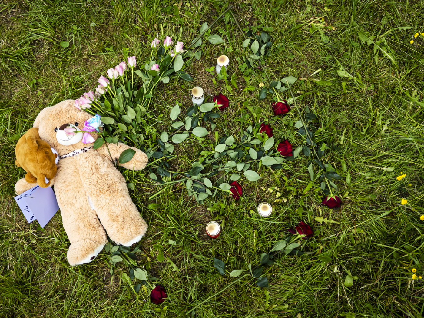 14-year-old suspected of murder after homicide in Berikon AG