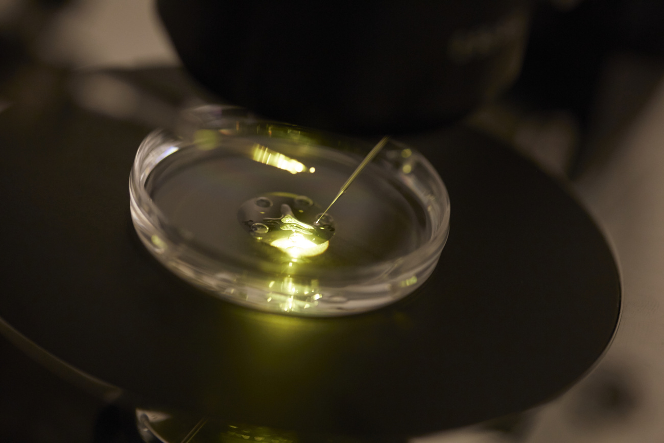 النساء العازبات التبرع بالحيوانات المنوية السياحة الإنجابية