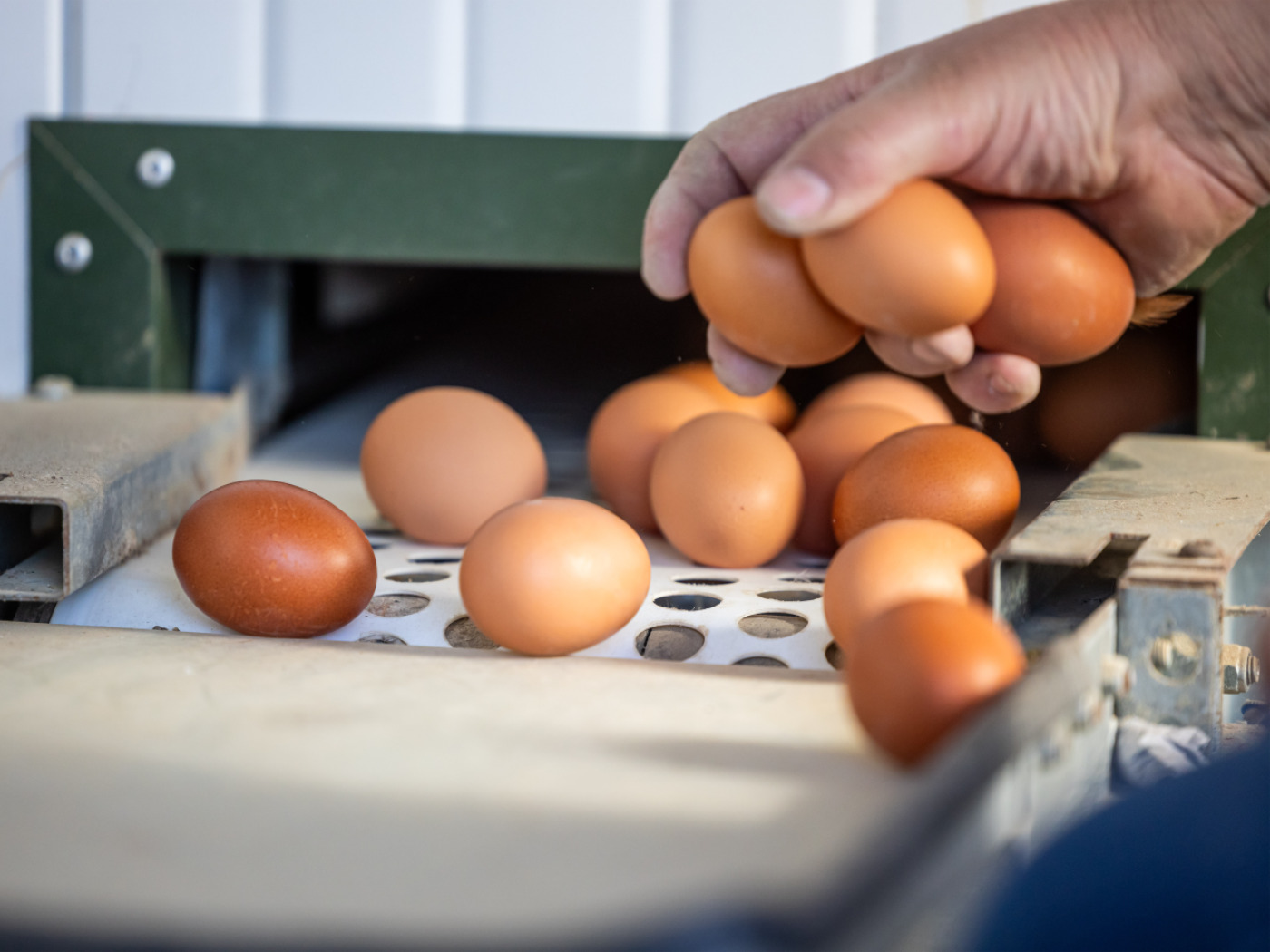 These changes come into force in Switzerland on 1 June