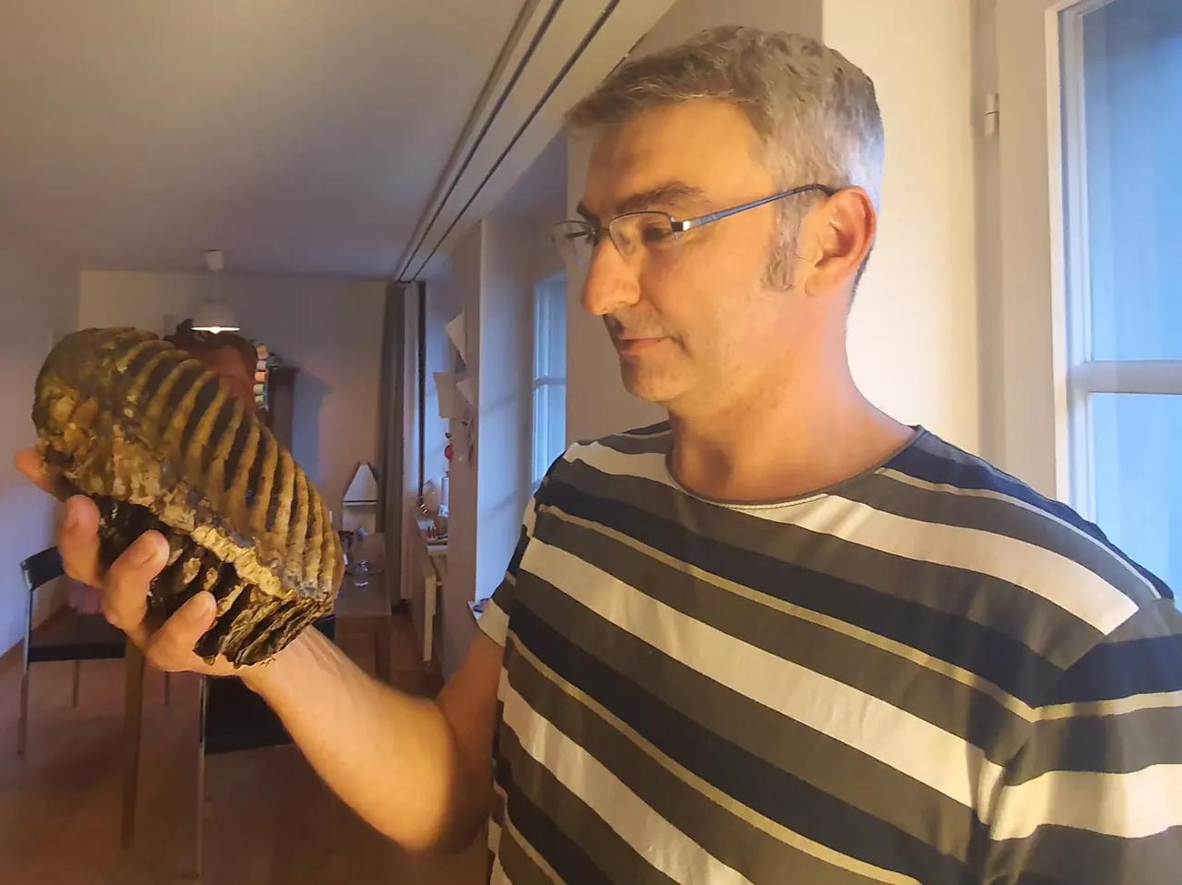 Persona regge dente di mammutj