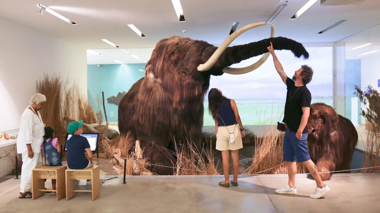 Mammuth ricostruito