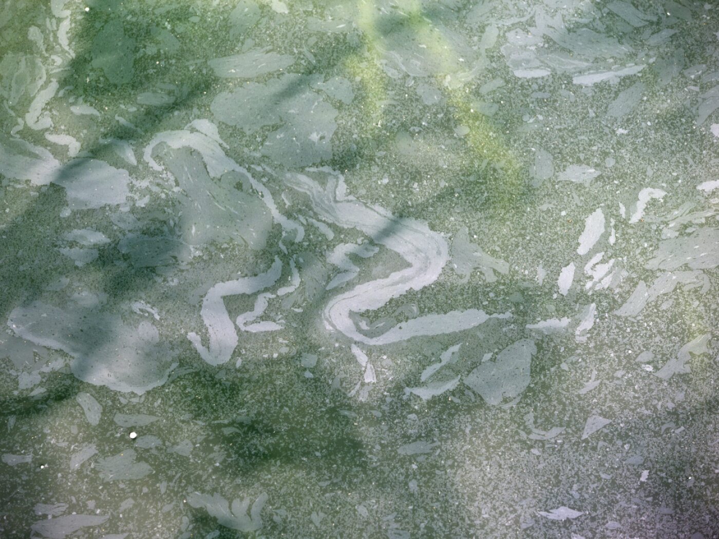 Diesel oil pollutes Lake Zurich near Rapperswil-Jona