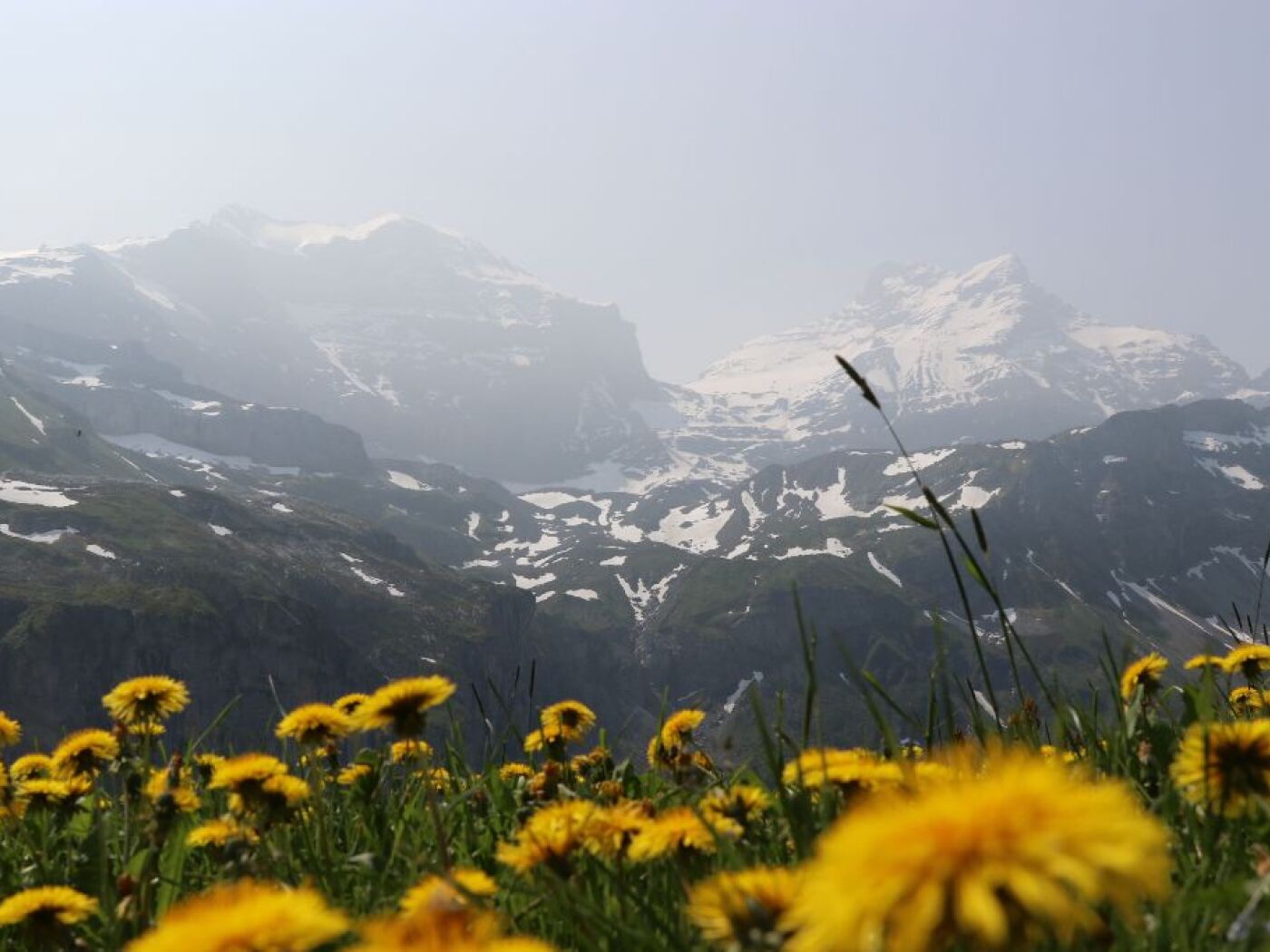 Forest fires in Canada cause cloudy visibility in Swiss mountains