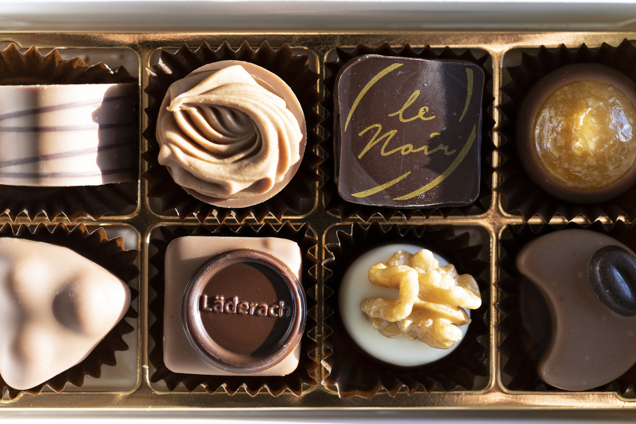 chocolate