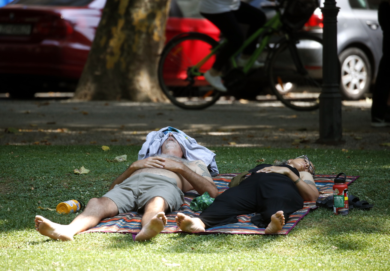 persone distese in un parco a riposare