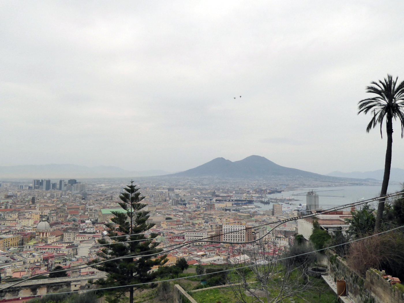  earthquake naples - no injuries