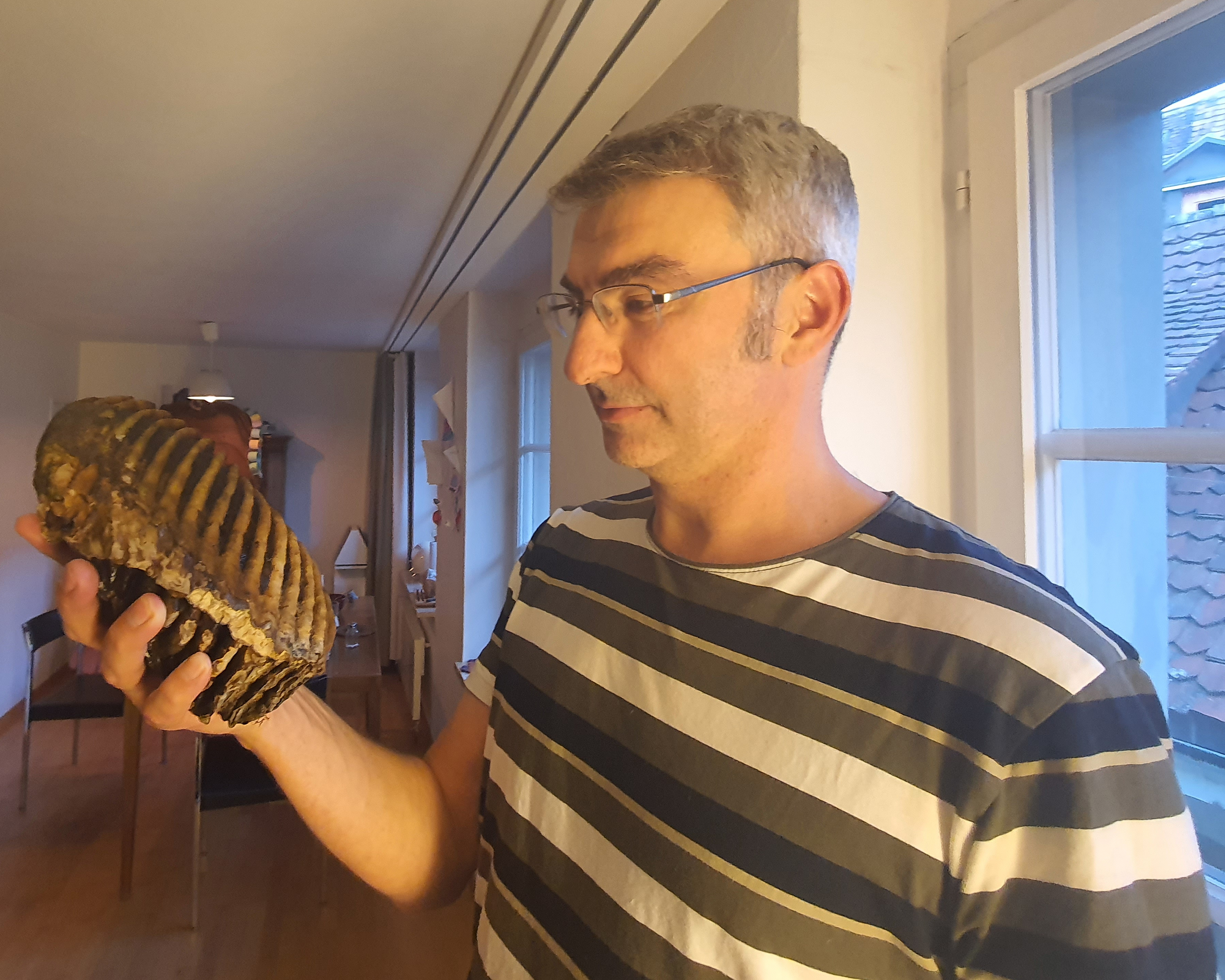 Swiss kayaker stumbles on 20,000-year-old mammoth tooth