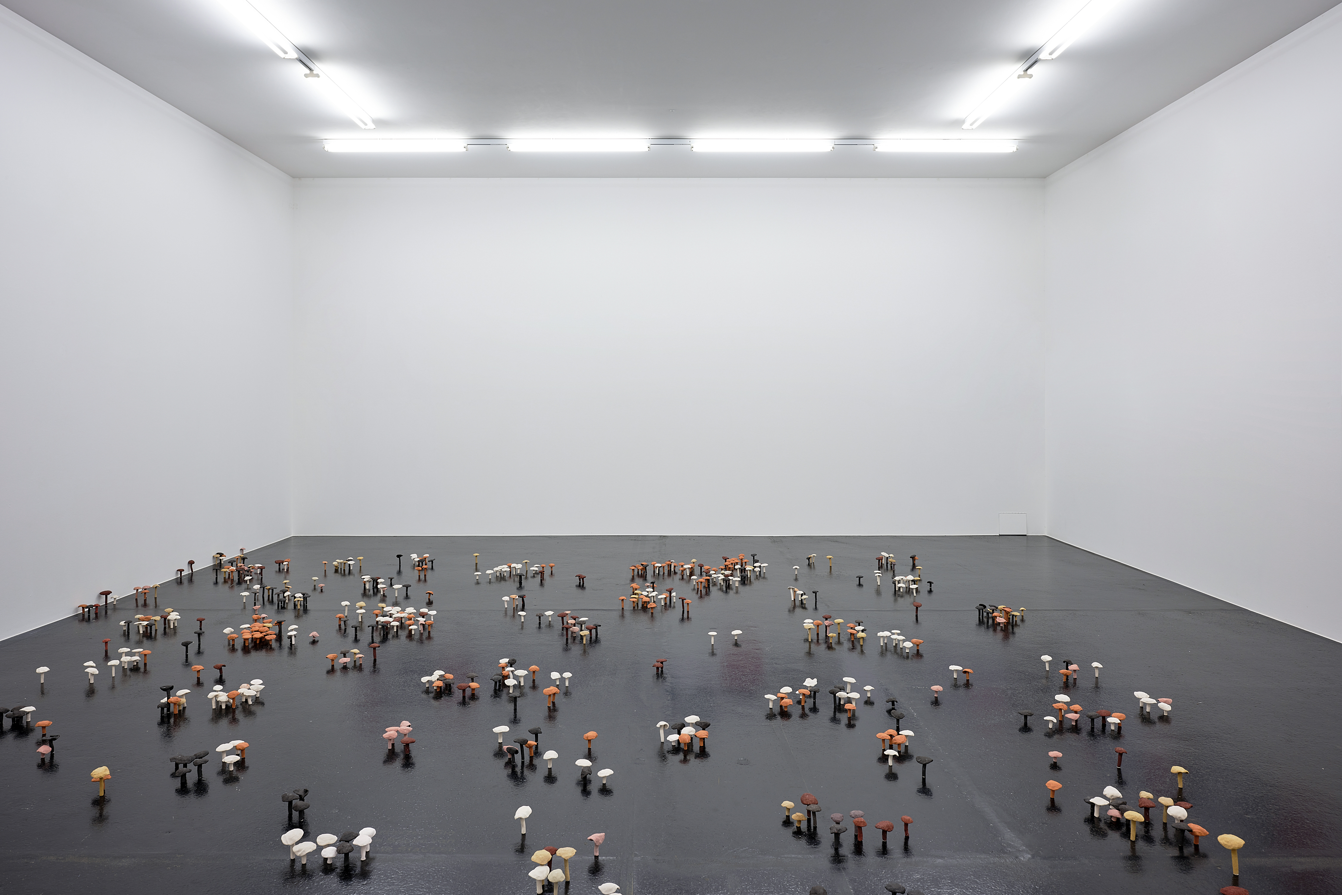 «Europa - fired, unglazed ceramic clay mushrooms, Auswahl22», exposé au Musée des Beaux-Arts d’Argovie (décembre 2021 à janvier 2022).