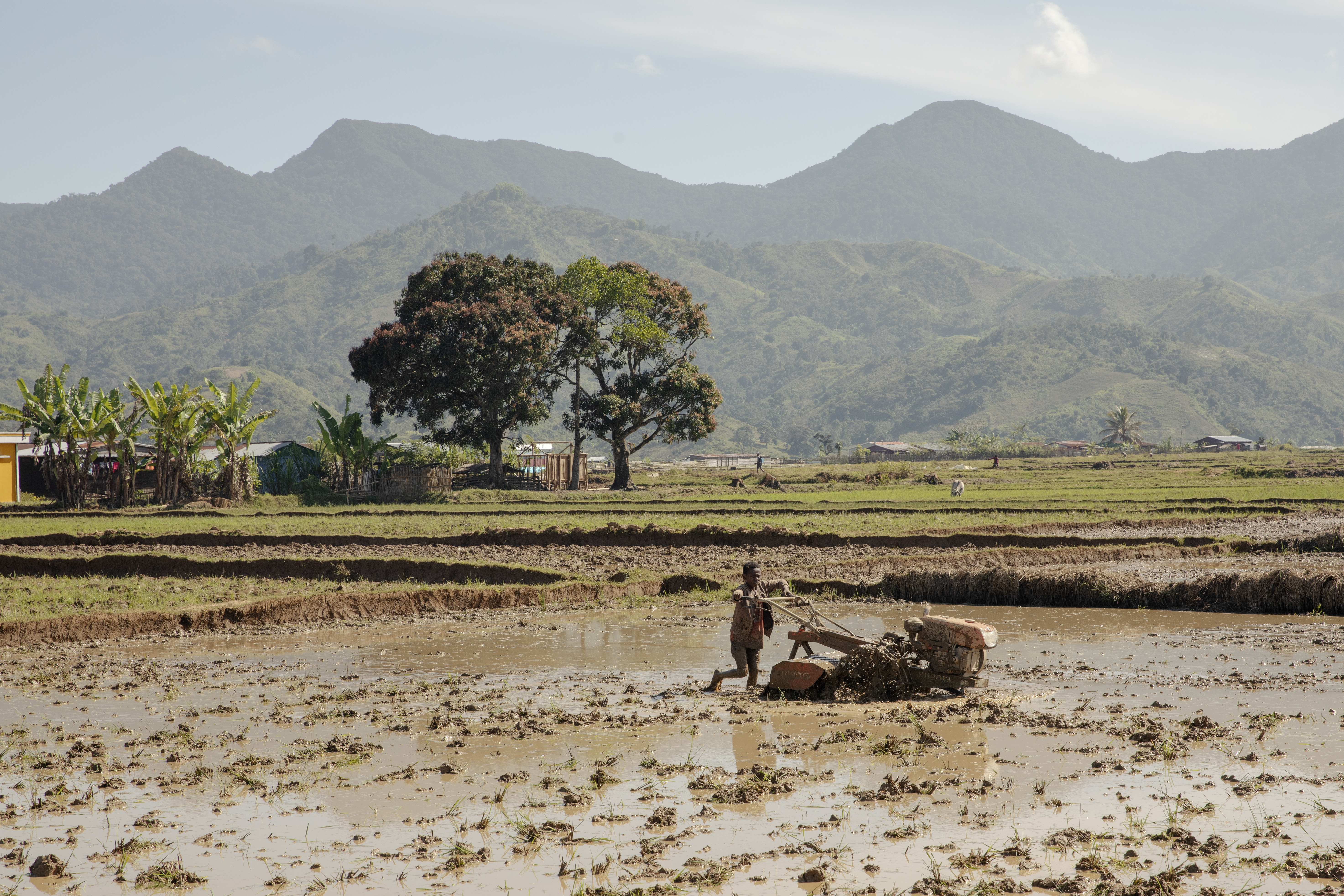 Ein madagassisches Kind schiebt eine Maschine in einem Reisfeld am Rande von Andapa am 24. Juli 2024 in Madagaskar.