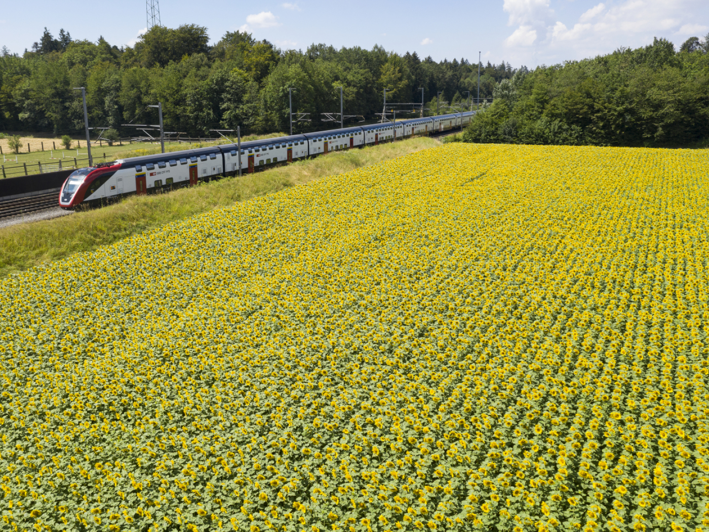 SBB: a badge for passengers with invisible disabilities