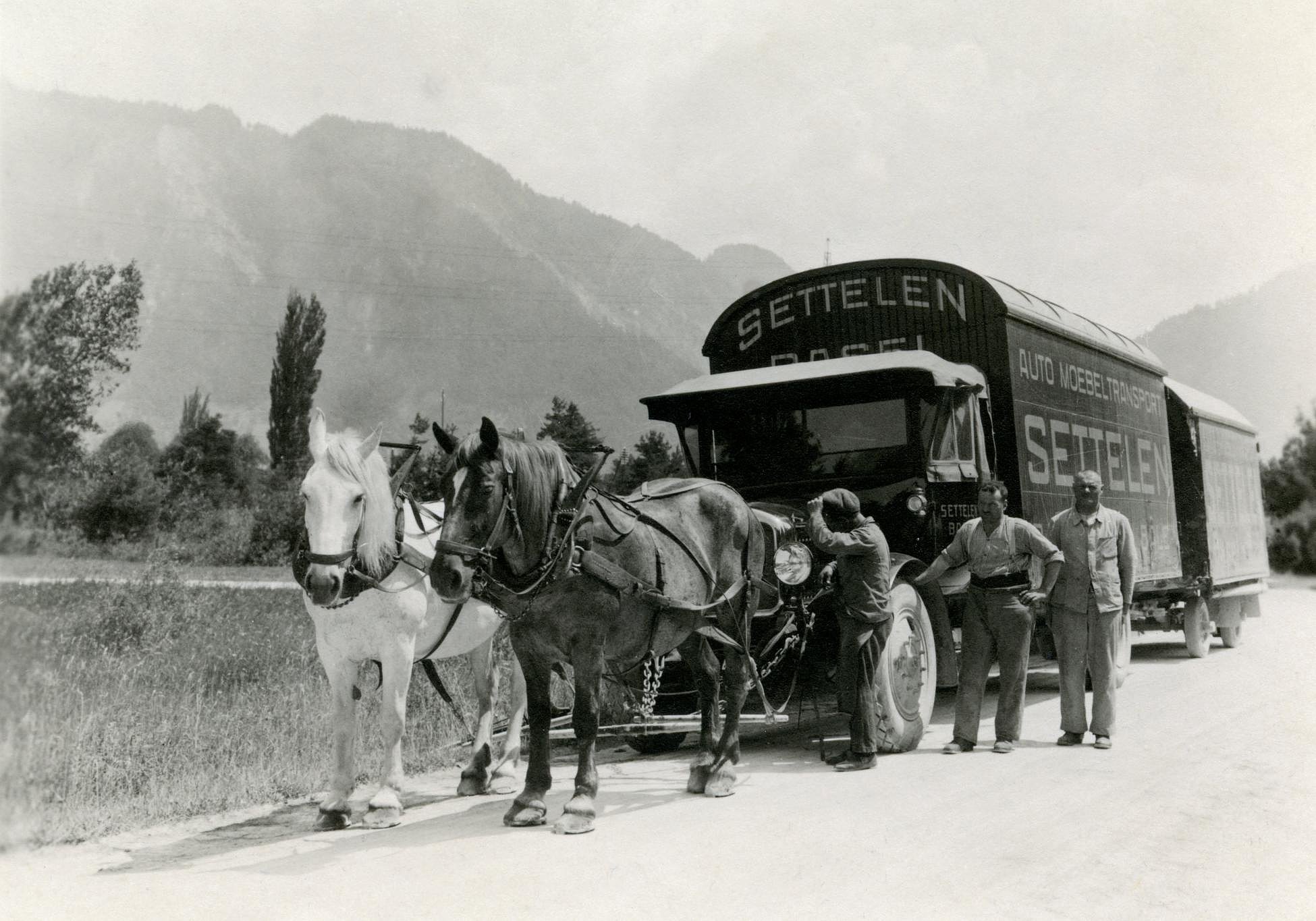 Horse and cart