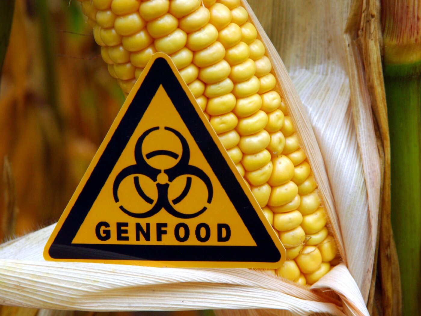 Parliament wants to extend genetic engineering moratorium by five years