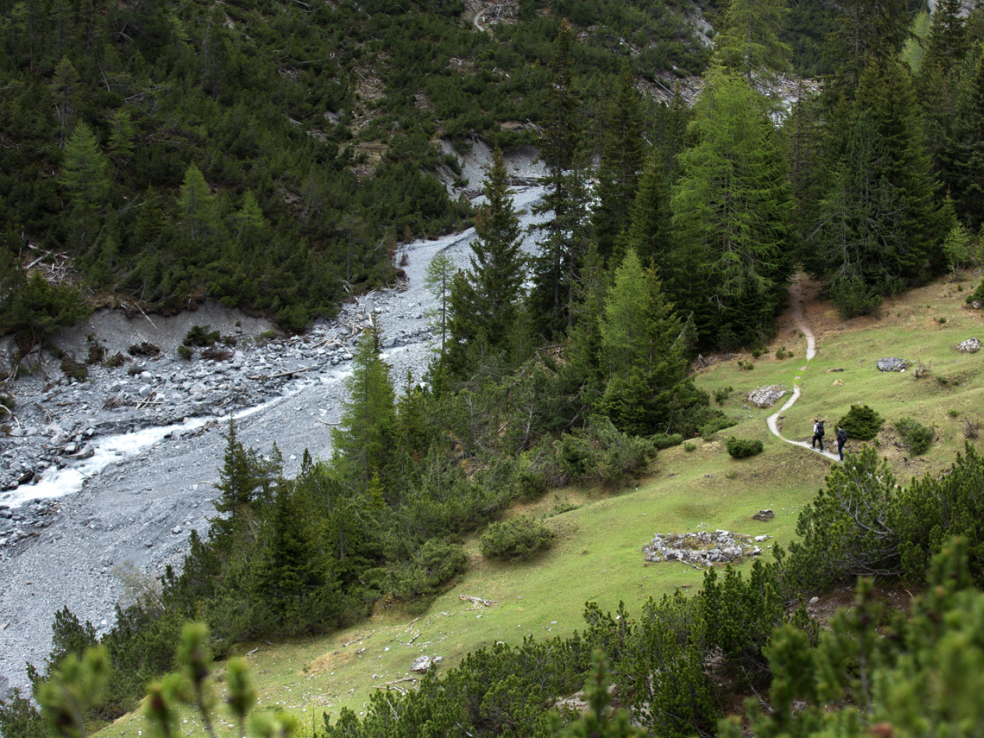AI investigates the secret lives of foxes and co. in the Alps