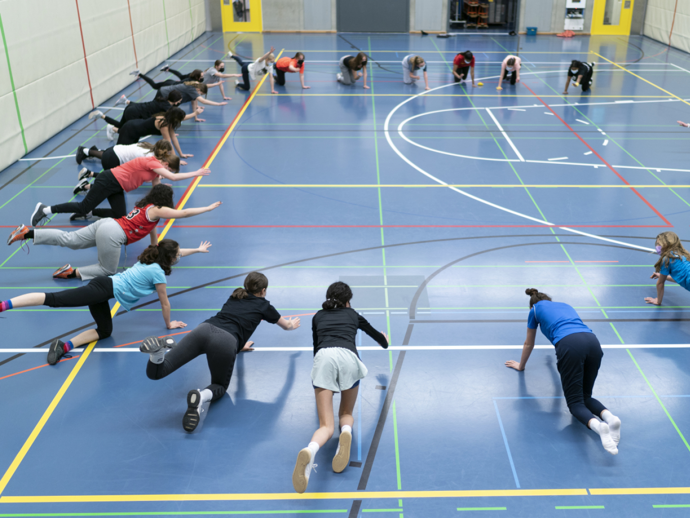 palestra scolastica