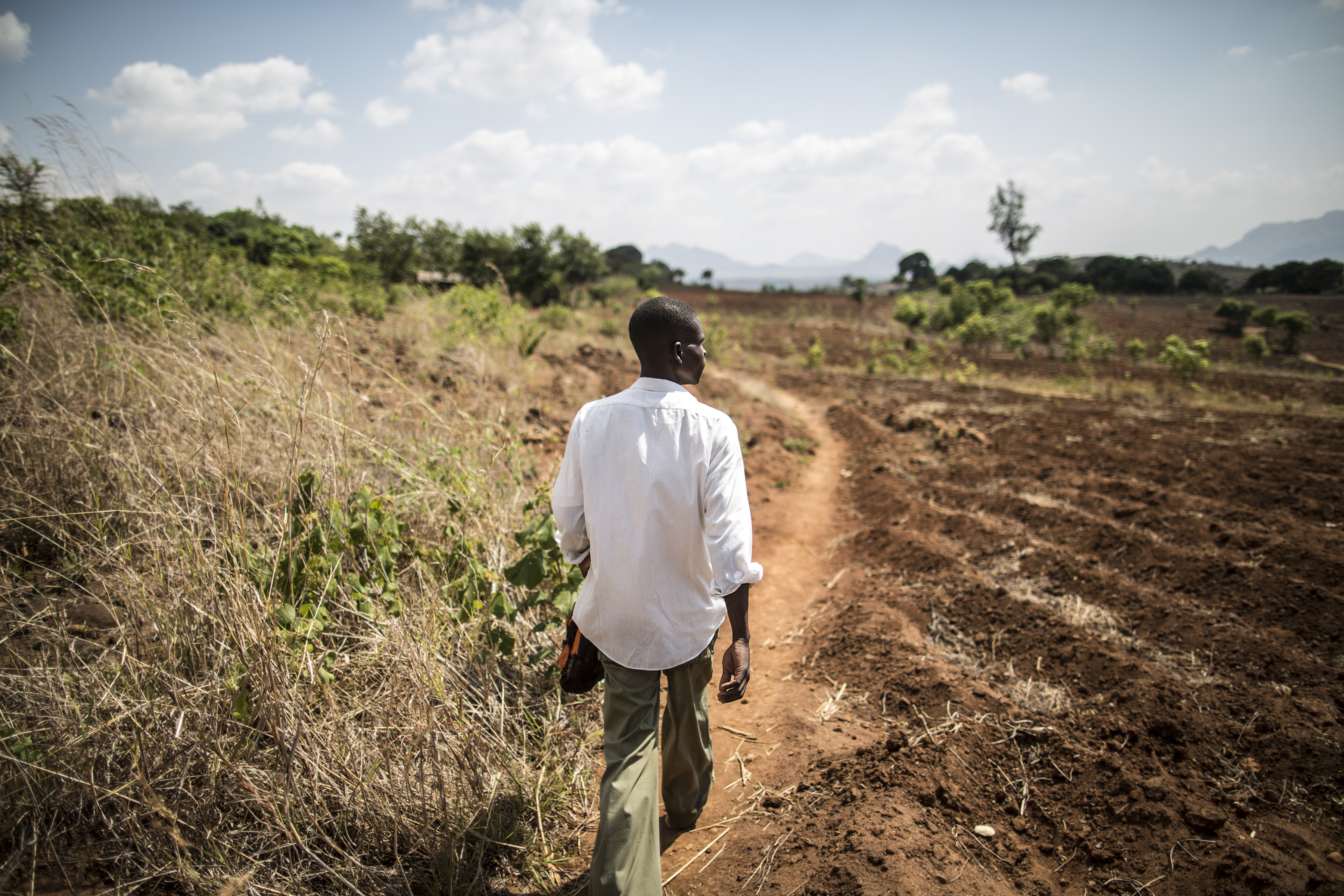 un uomo cammina nella savana