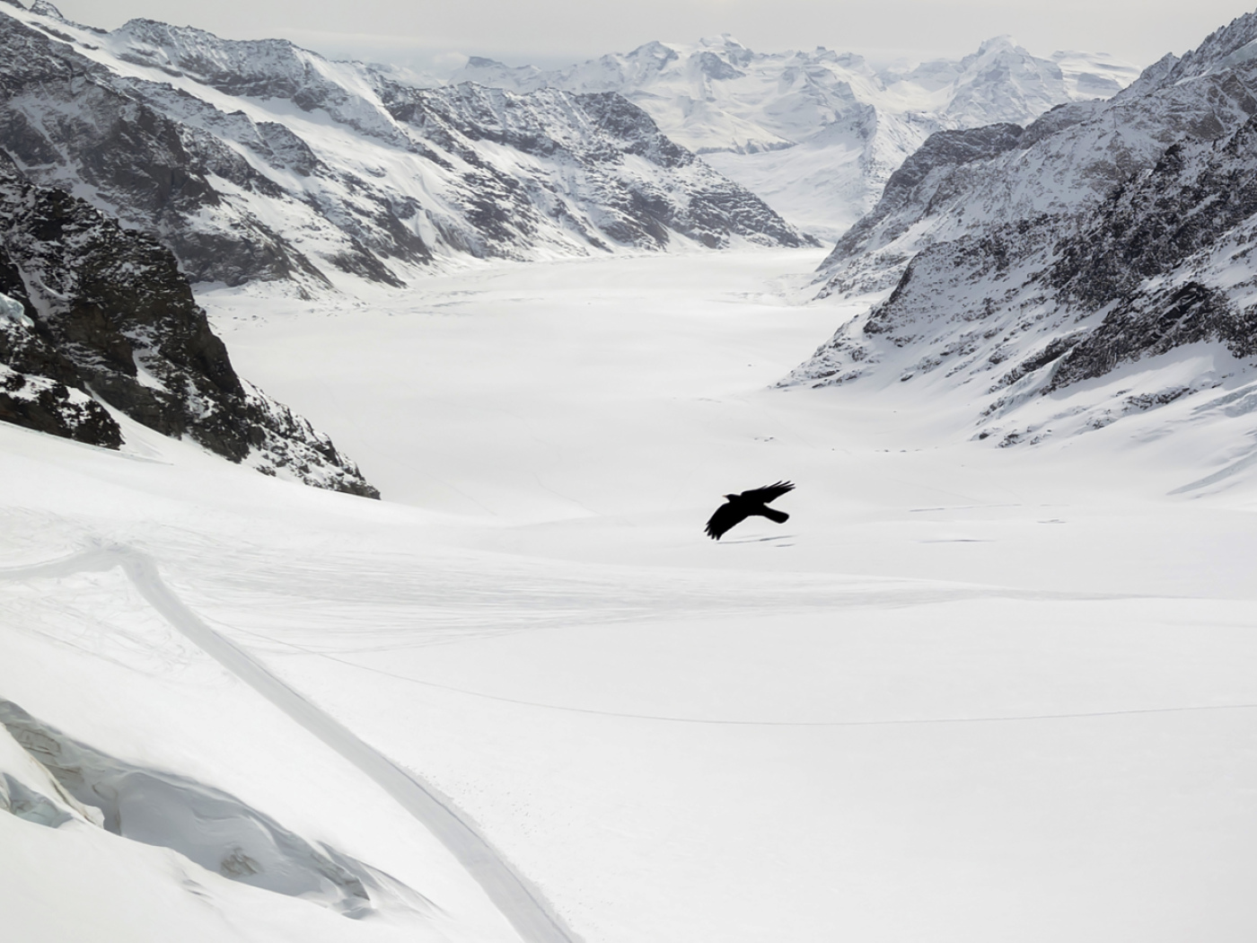 Swiss glaciers have lost the mass accumulated over the winter