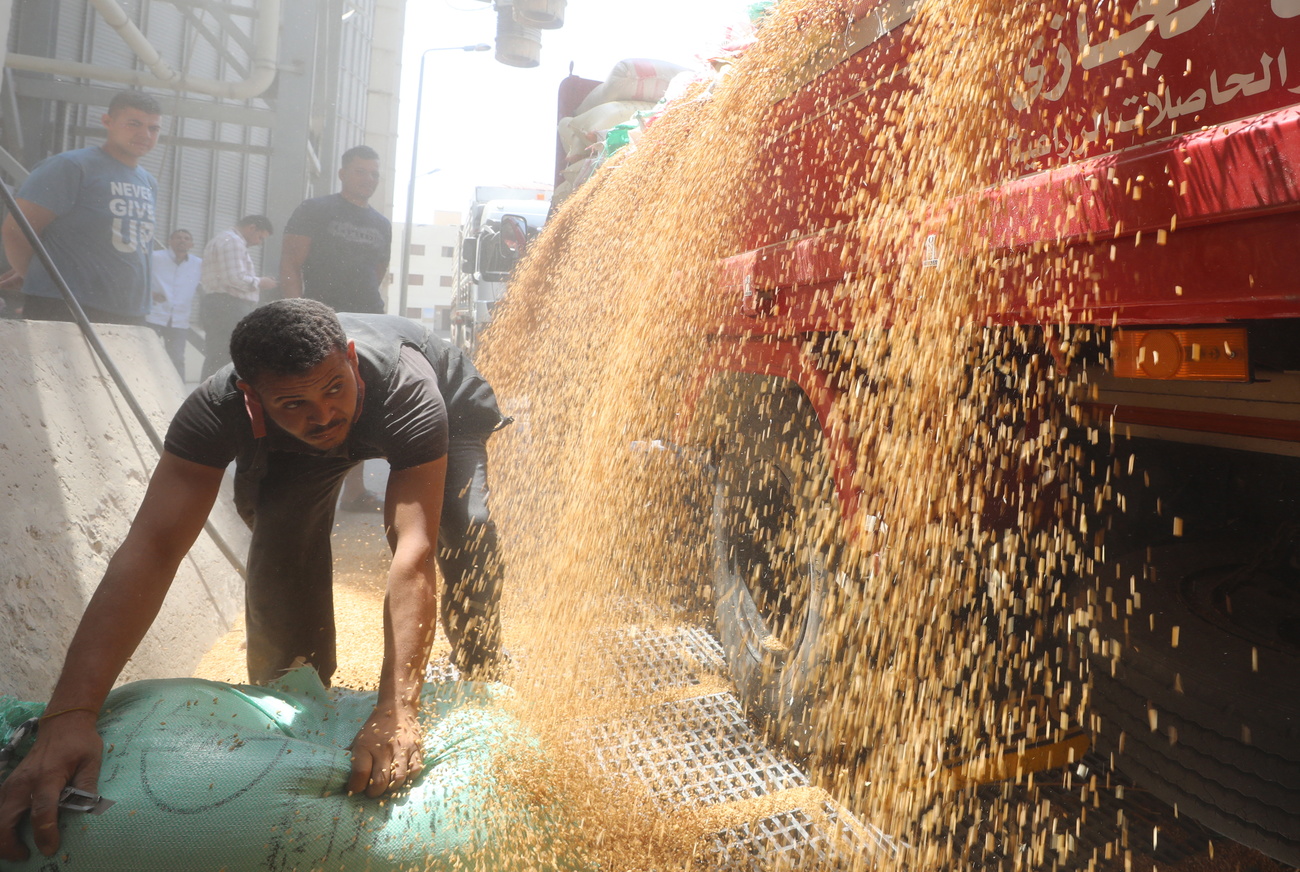 Des ouvriers déchargent du blé dans les silos à grains