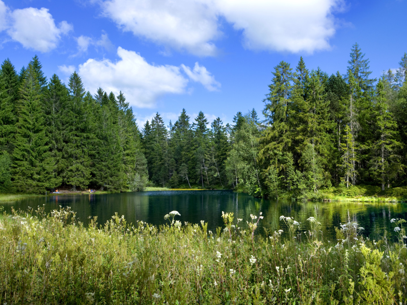 Wetlands in Switzerland are in poor condition